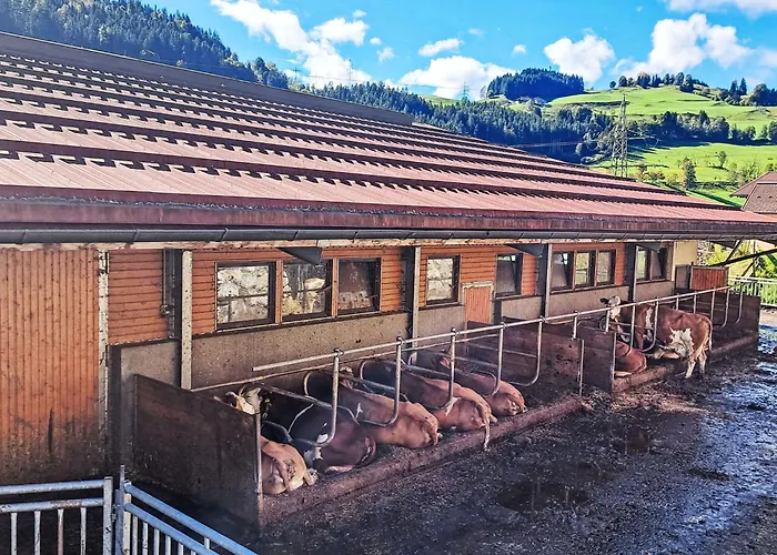 Apartmán Schoenblick Mountain & Spa-1 By Interhome Rauris